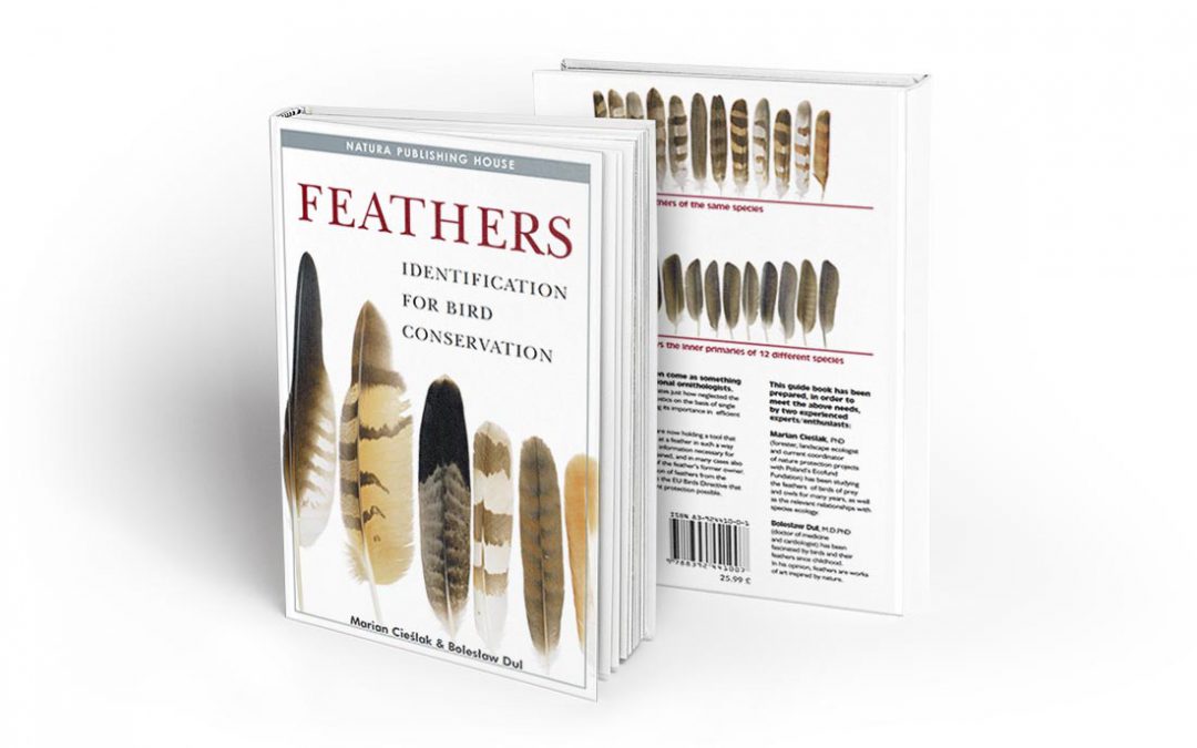 Feathers
